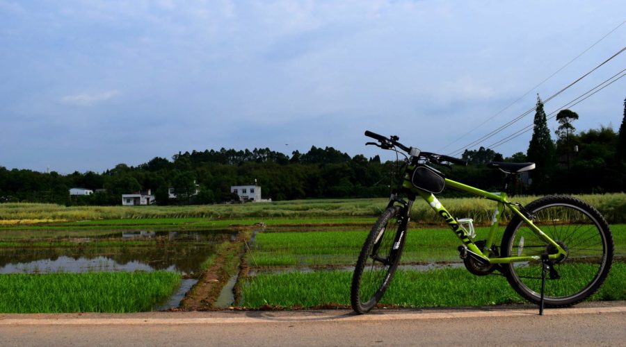 Biking Trails between Tongzhi Dragon Kiln and Huanglongxi Ancient Town