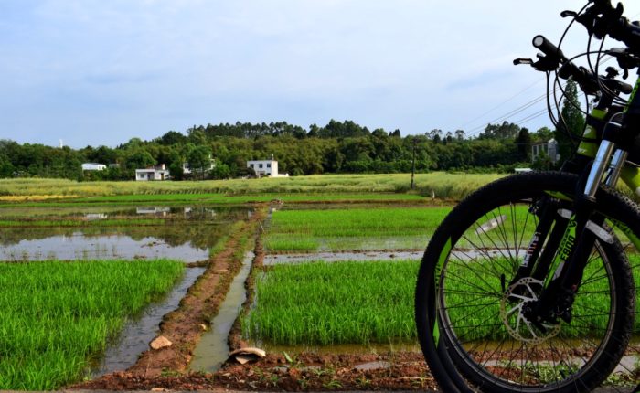 Cycling Chengdu Biking Trails between Tongzhi Dragon Kiln and Huanglongxi Ancient Town