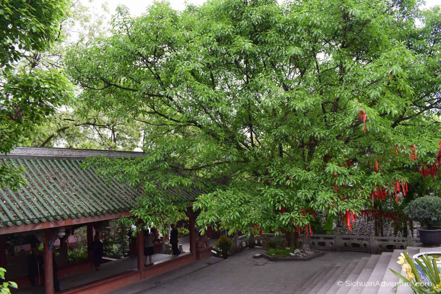 White Pagoda Temple of Sichuan